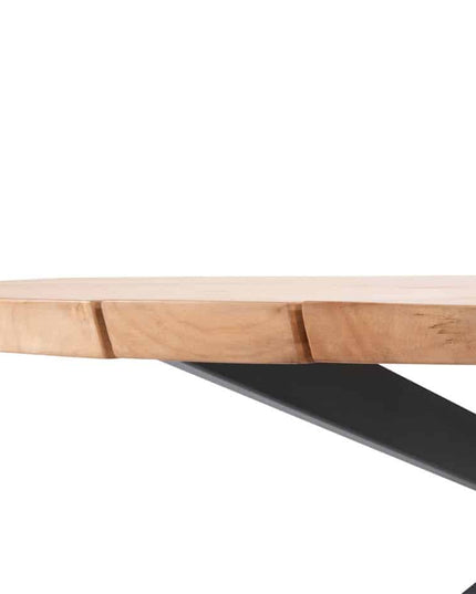 Taste 4SO Belmond Dining Anthrazit + Prado Tabelle 240 cm Oval