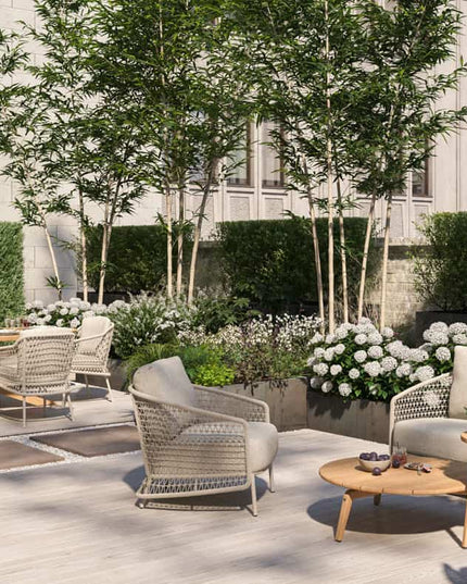 4 Seasons Outdoor Puccini loungeset + voetenbank, zonder salontafel